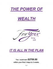 The Power of Wealth Plan (4)