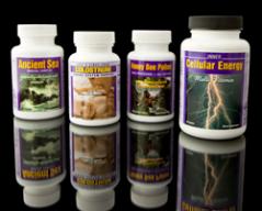 Basic Wellness Program